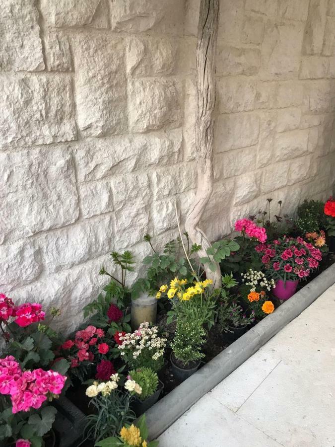 Apartman Crnica Šibenik Екстериор снимка